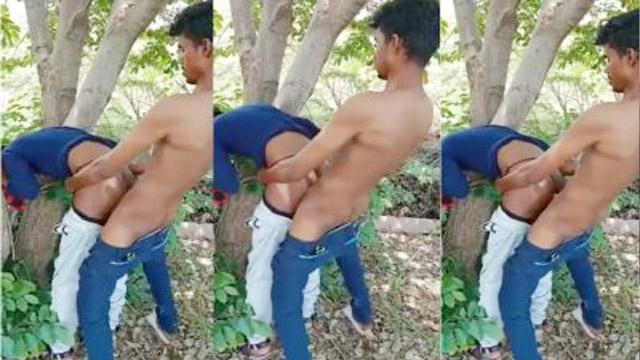 Cousin Sister Tree Sex – Outdoor Viral Xxx